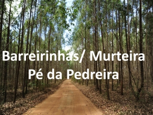 Medidas Preventivas Para a Defesa da Floresta contra Incêndios- Barrerinhas/Murteira/Pé da Pedreira